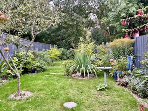 Photo 8- click for photo gallery